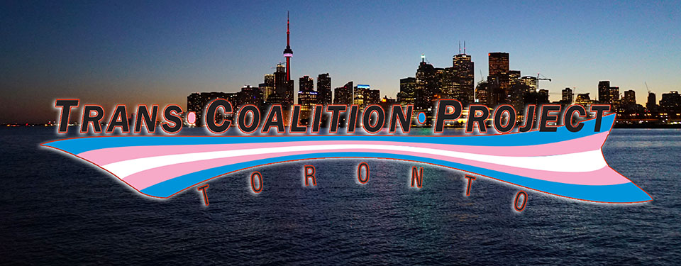 TCPT_Toronto_Skyline_960x375.jpg